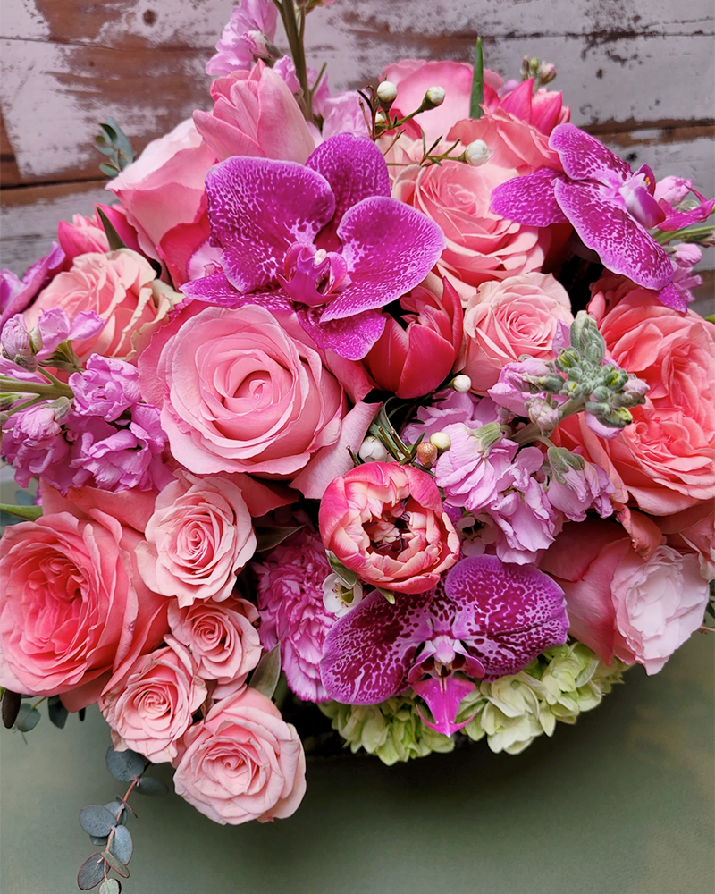 La Vie en Rose La Vie en Rose